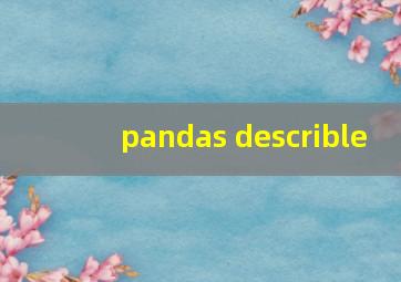 pandas describle